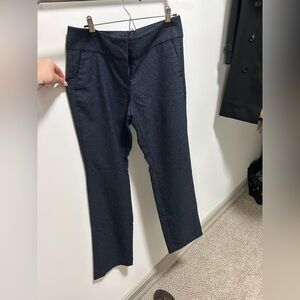 Ann Taylor Factory Navy Textured Pants